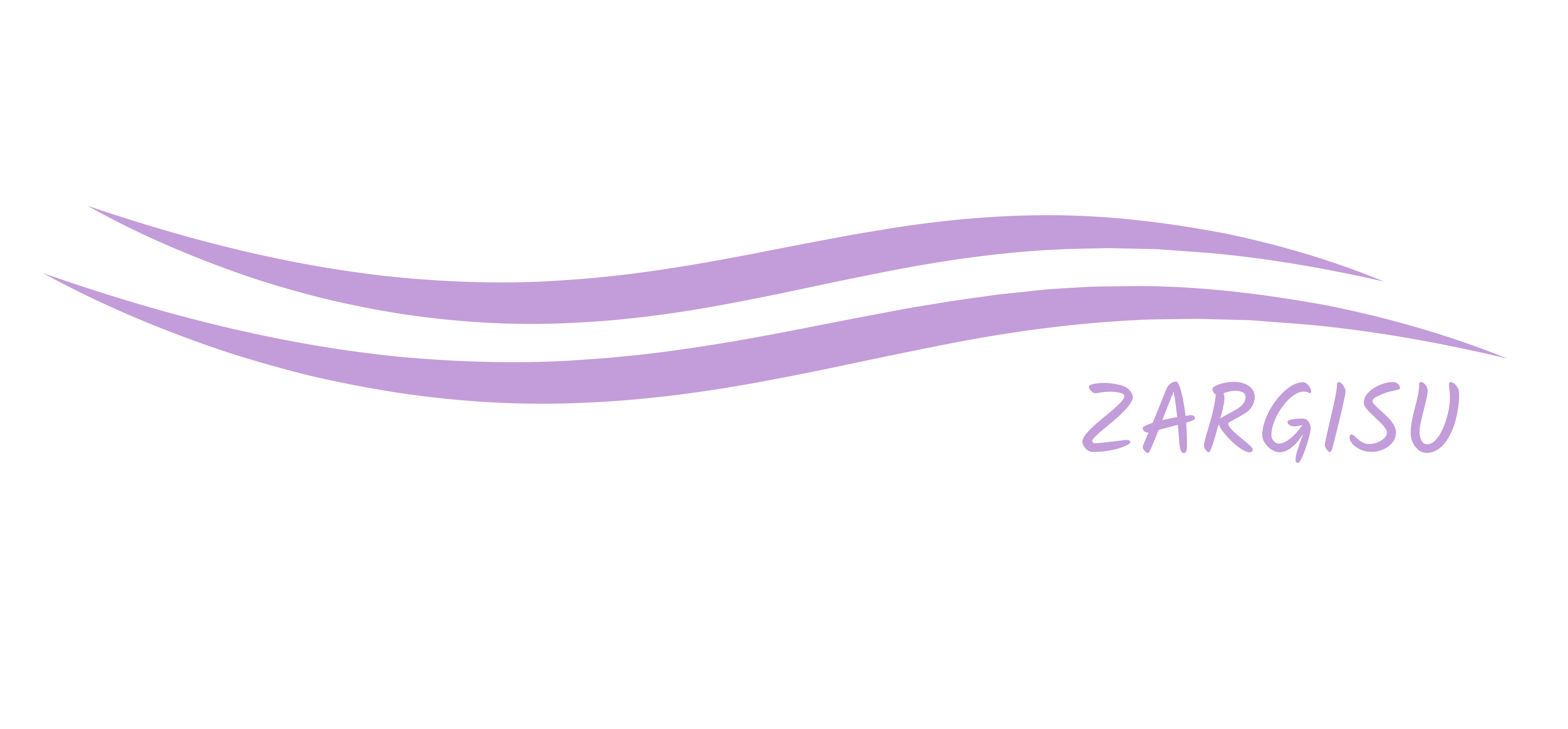 لوگو زرگیسو